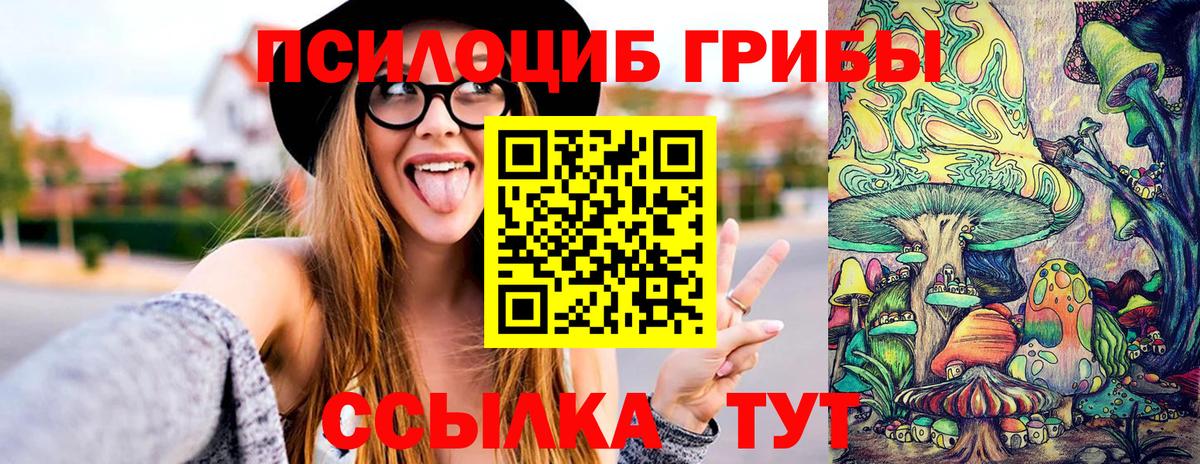 Мурманск  Галлюциногенные грибы мицелий  купить наркотик  Вход с VPN 